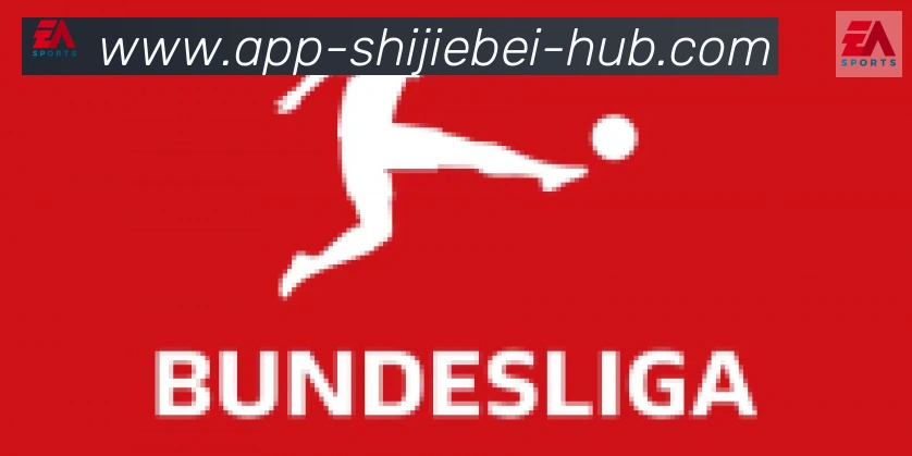 世界杯客户端下载合作伙伴